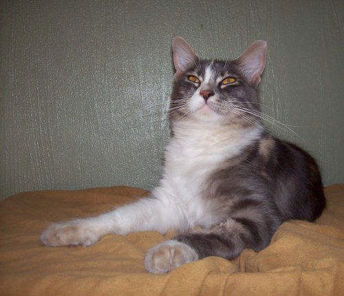 Topaz