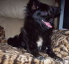 Tilly