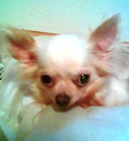 Lucy