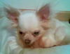 Lucy