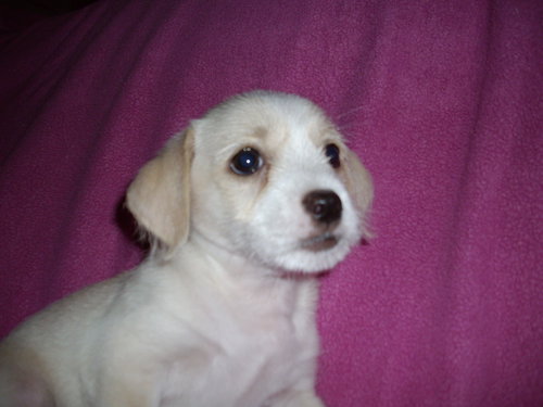 Mindy