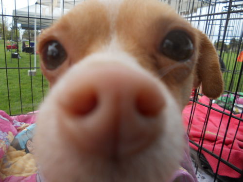 Tucker