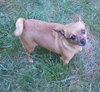 Mitzi