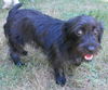 Sofie