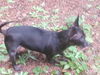 Shiloh