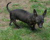 Shiloh