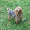Marley