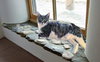 Breeze (FIV+) - Photo 6