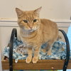 Maizy - Photo 6