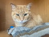 Maizy - Photo 8