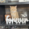 Maizy - Photo 10