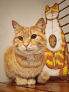 Maizy - Photo 9