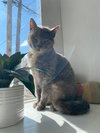 Meredith Grey - Photo 6