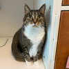 Molly - Photo 8