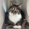 Molly - Photo 7