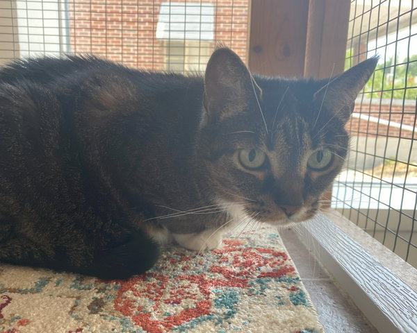 Millie