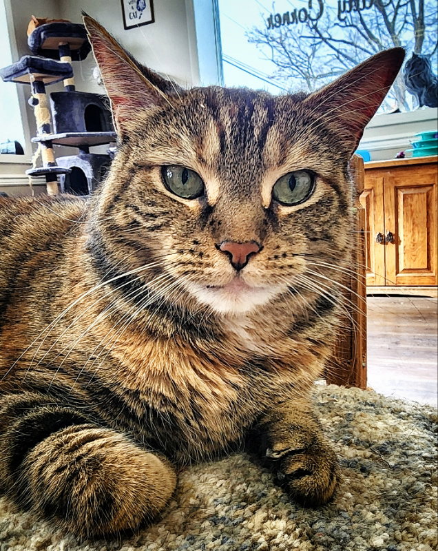 Nina