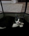 Buddy - Photo 2