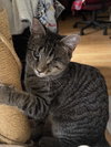 Rhapsody - Photo 1
