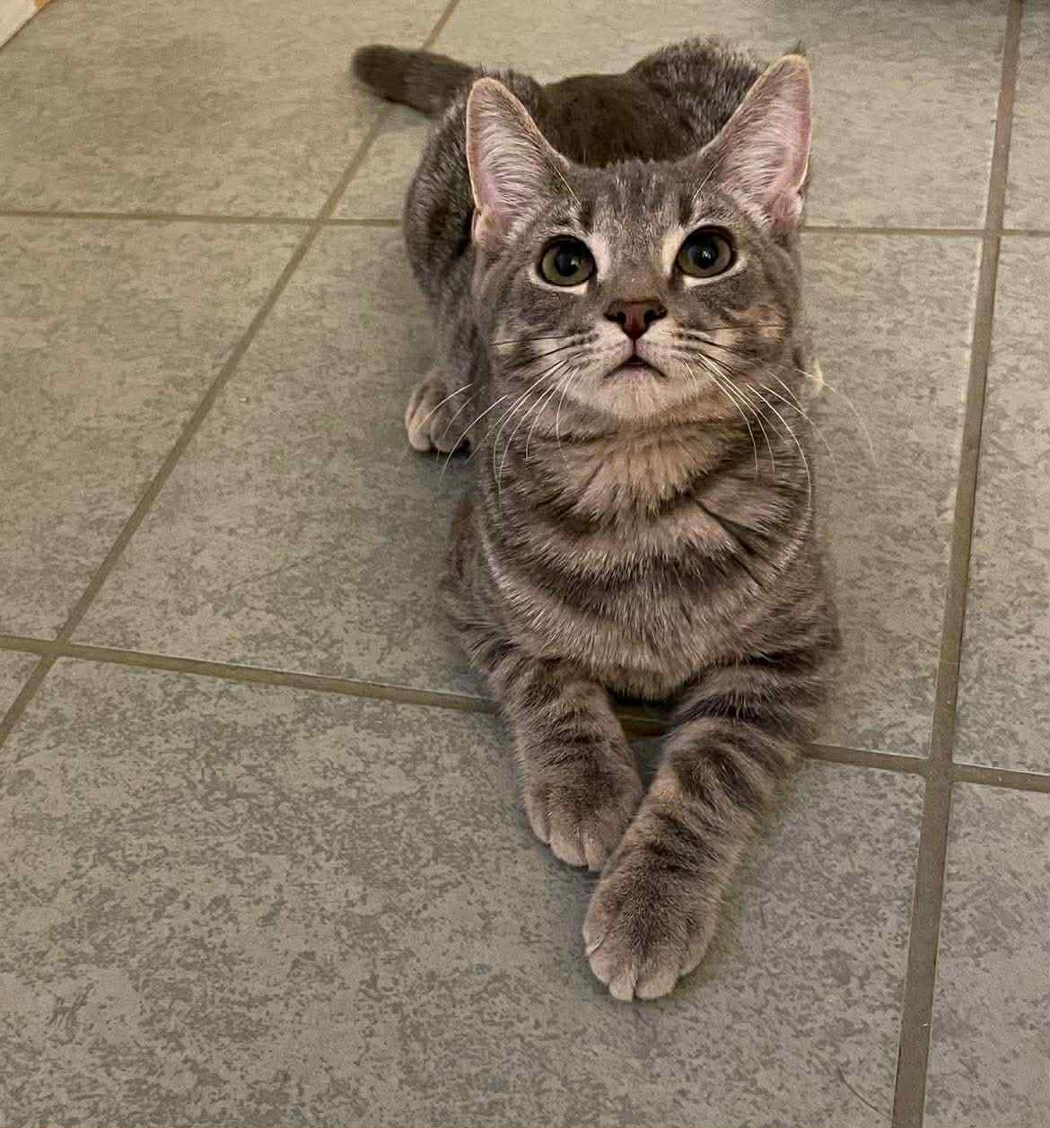 Benny Image