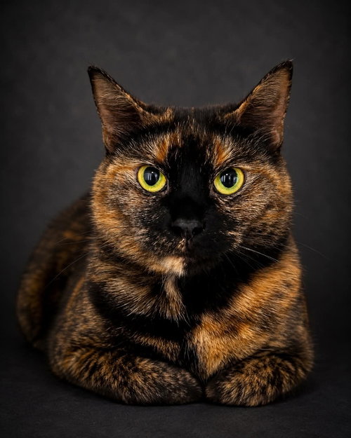 Mac