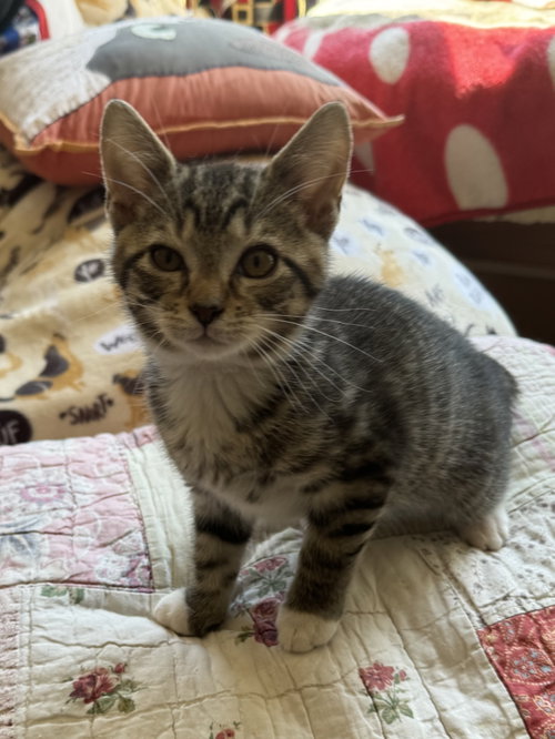 Micah photo 2