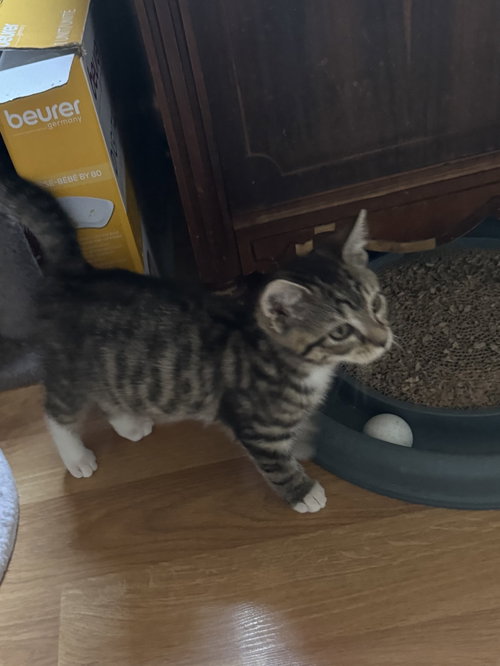 Micah photo 3