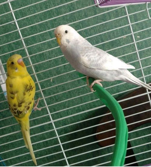 Cloud & Chloe