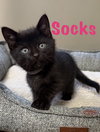 Socks - Photo 1