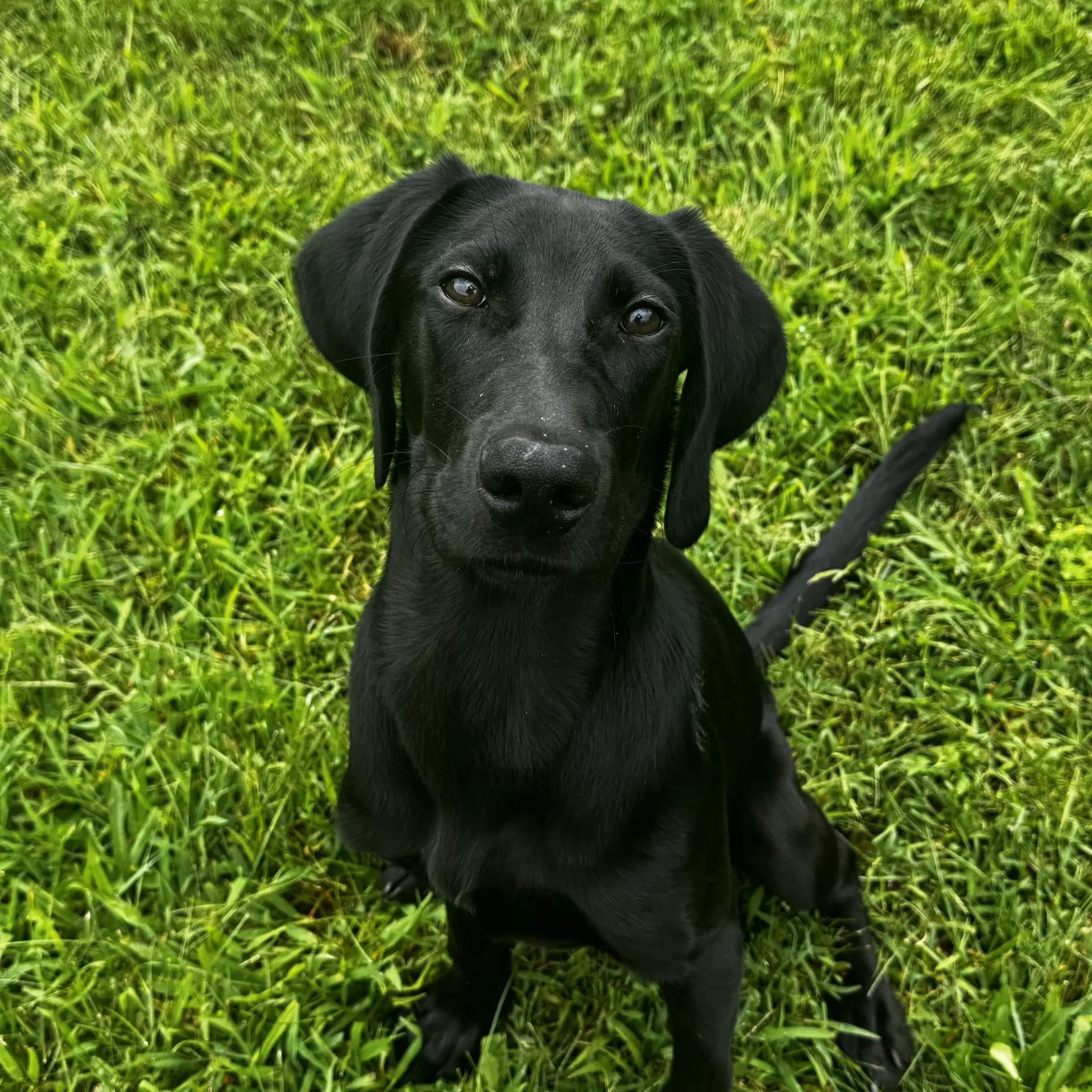 Jinx image 1