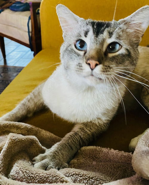 Charlie