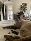 Charlie