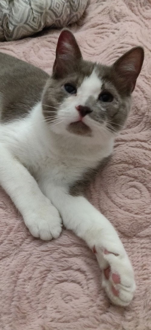 Juno