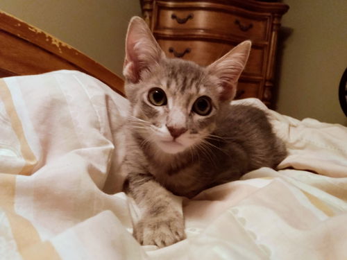 Eugene