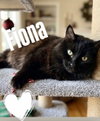 Fiona
