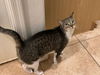 Betsy (bonded to Bobby)
