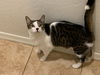 Bobby (bonded to Betsy)