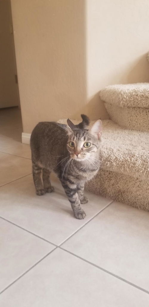 Kiki