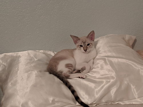 Alvin