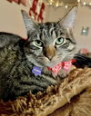 Athena