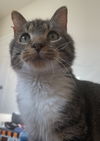 Diego