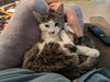 Marilyn (Bonded to Monroe)
