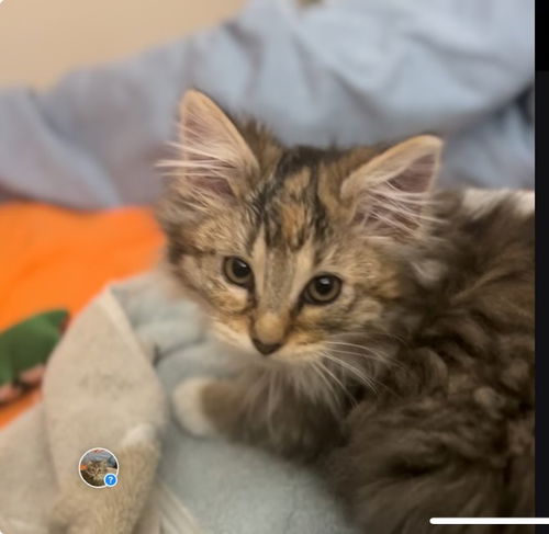 Esmerelda (bonded to Vinny)