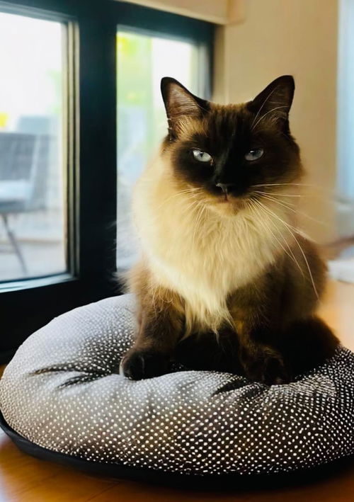 EWAN C. FLUFFERTON