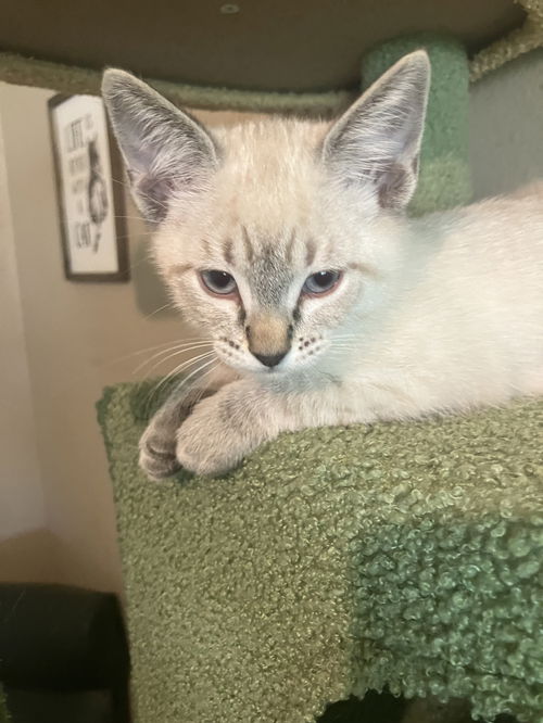 Nimbus
