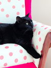 Cassiopeia (bonded to Andromeda)