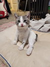 Charlie