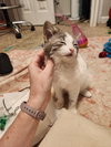 Charlie