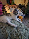 Charlie