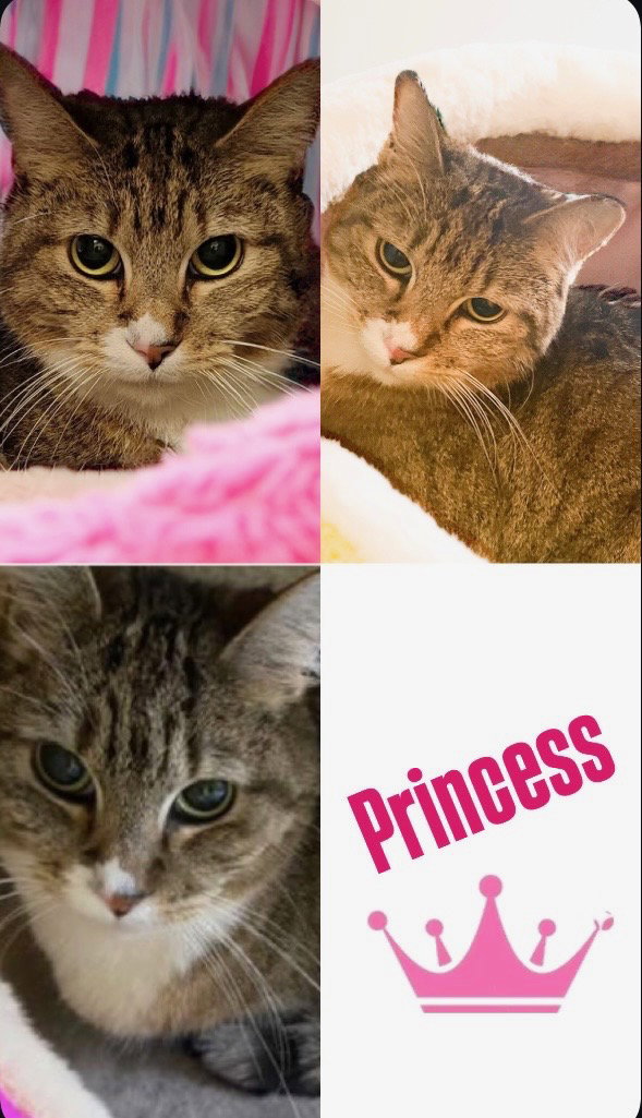 Princess